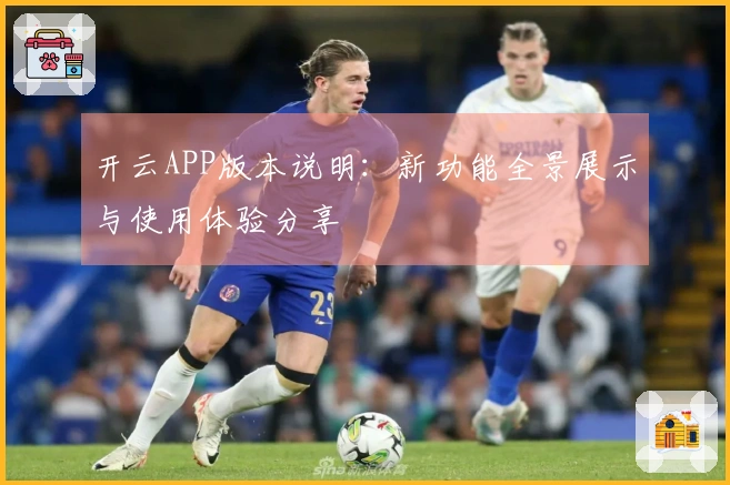 开云APP版本说明：新功能全景展示与使用体验分享